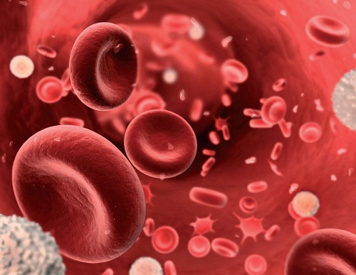 Sinh lý máu hồng cầu