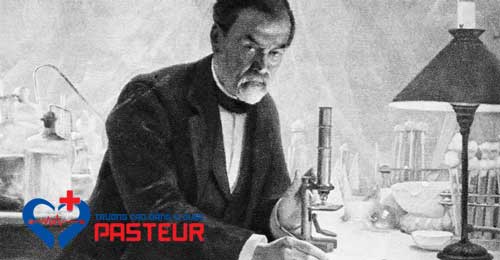 Nhà khoa học Louis Pasteur ngày càng được khẳng định